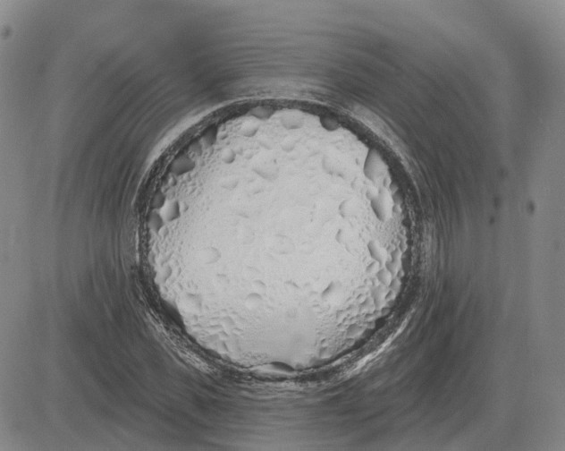 X0000083020925200702231834