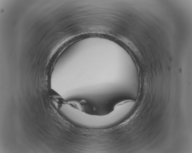 X0000083020926200702231834