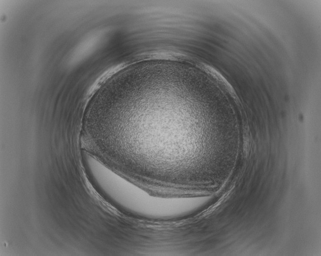 X0000083020938200702231834