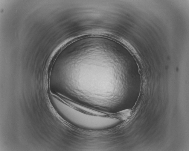 X0000083020939200702231834