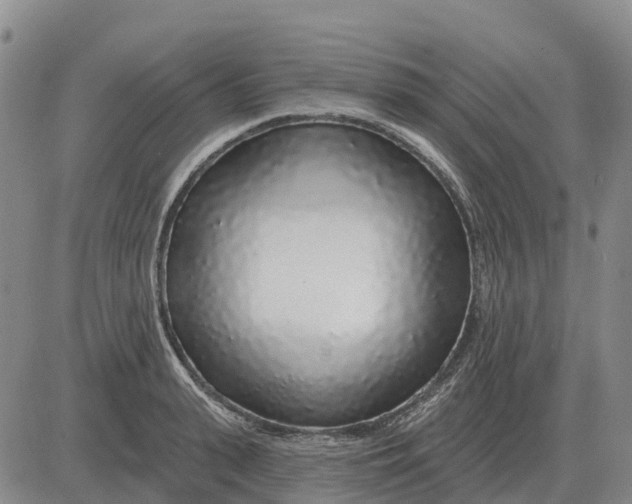 X0000083020943200702231834