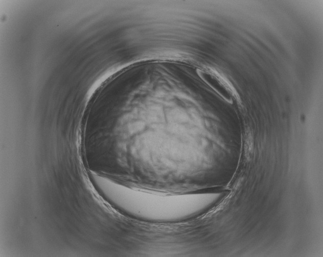 X0000083020944200702231834