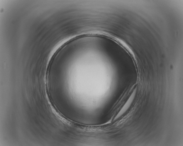 X0000083020951200702231834