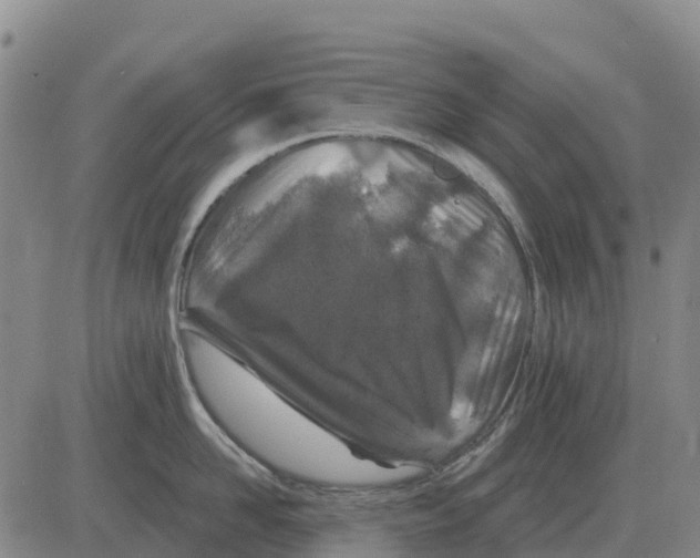 X0000083020958200702231834