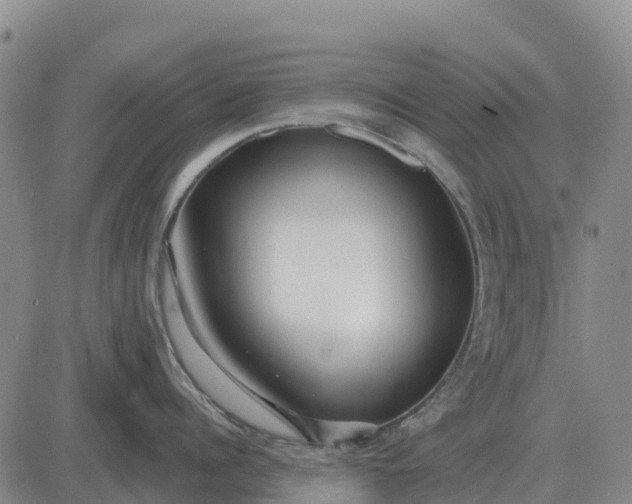 X0000083020960200702231835