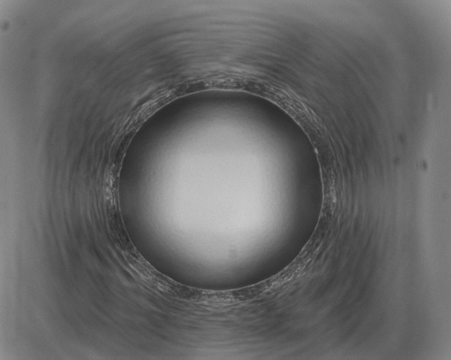 X0000083020964200702231834