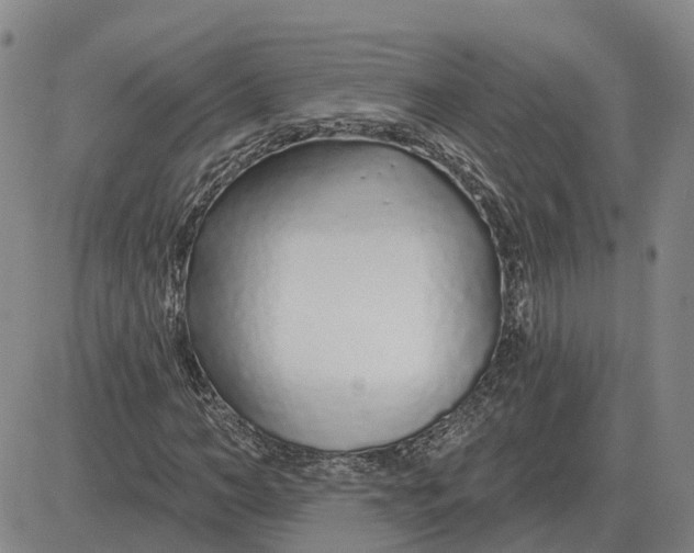 X0000083020966200702231834