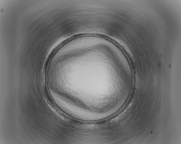 X0000083020982200702231833