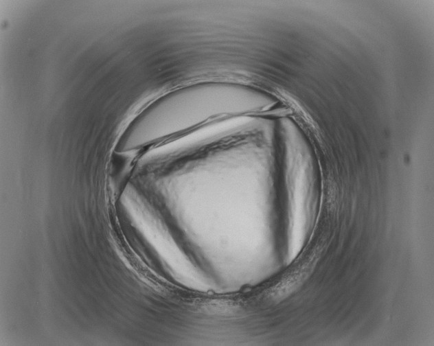 X0000083020986200702231833