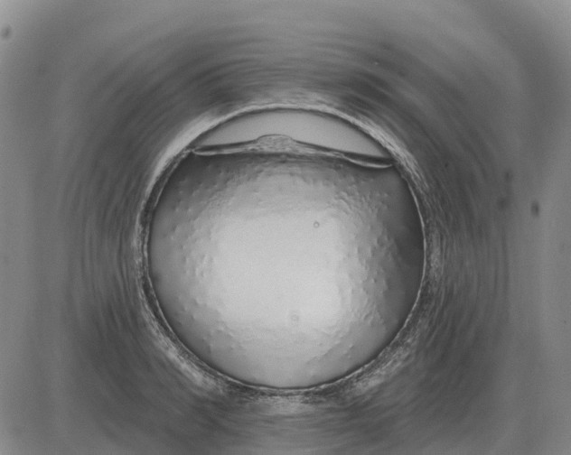 X0000083020990200702231833