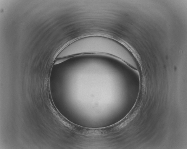 X0000083020993200702231833