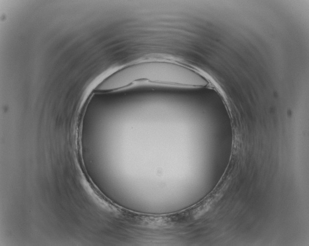 X0000083021003200702231833