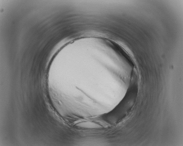 X0000083021008200702231833