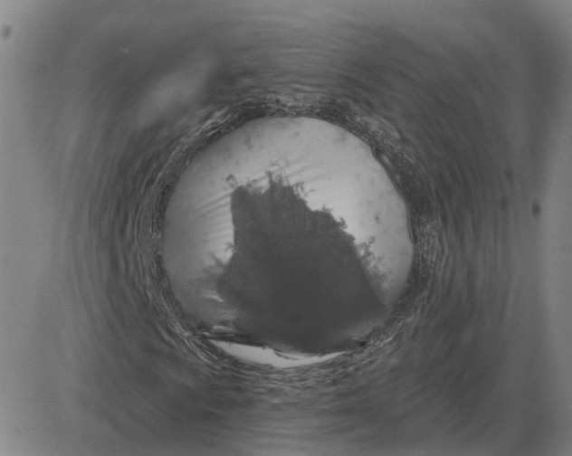X0000083021009200702231832