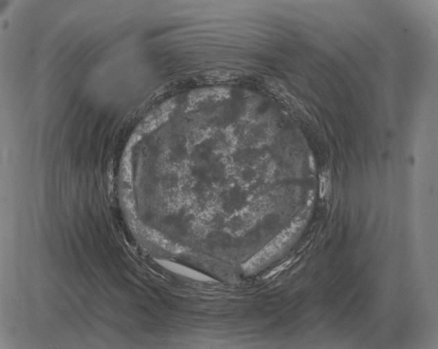 X0000083021011200702231832