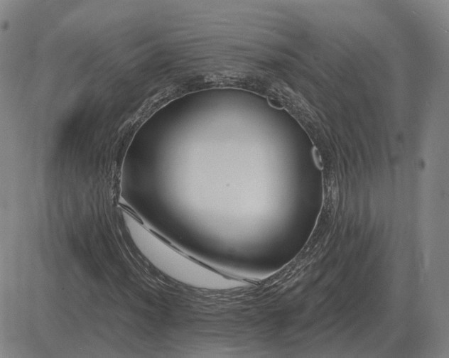 X0000083021012200702231832
