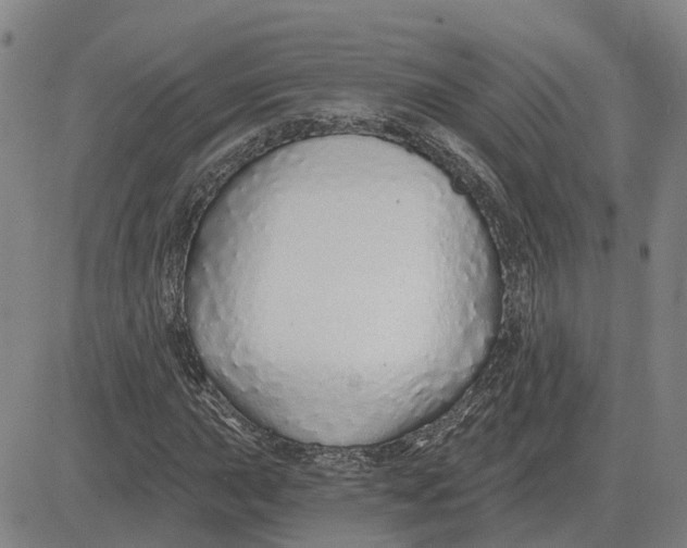 X0000083021015200702231832
