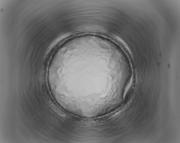 X0000083021019200702231832