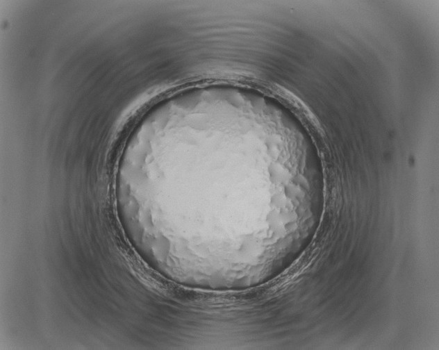 X0000083021027200702231832