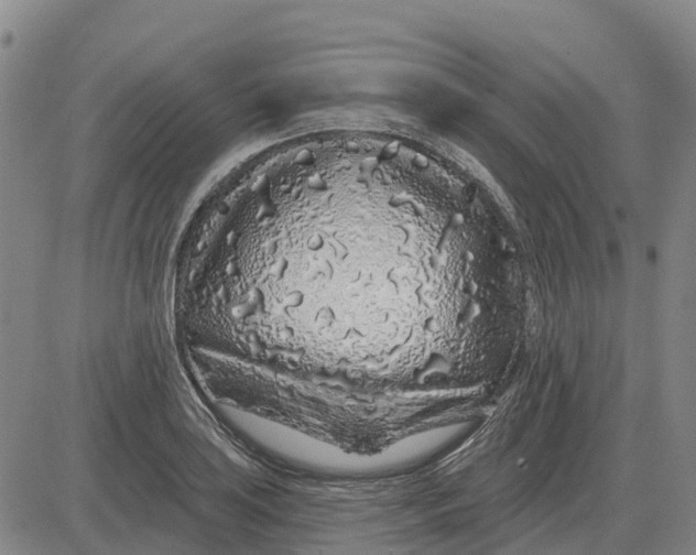 X0000083021035200702231833