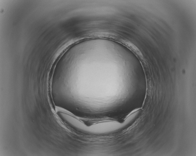 X0000083021039200702231833