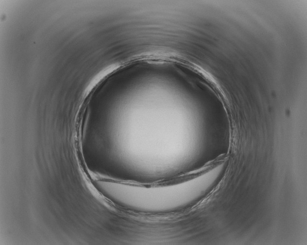 X0000083021042200702231833