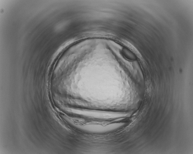 X0000083021043200702231833