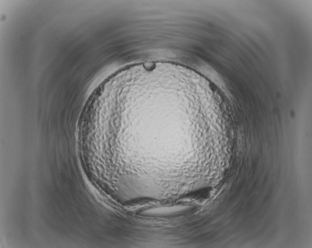 X0000083021047200702231833