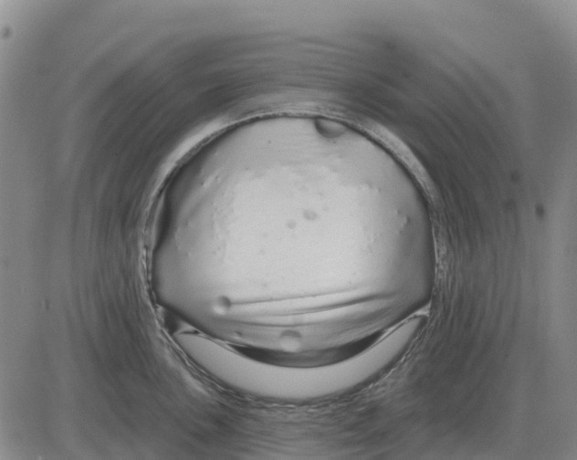 X0000083021051200702231833