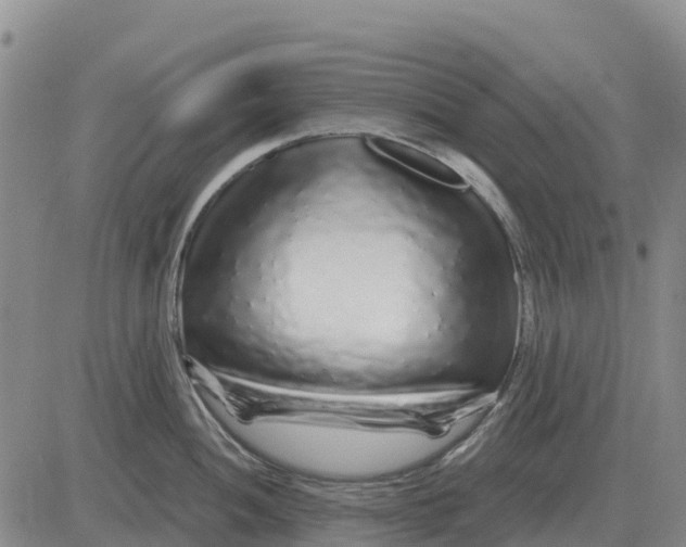 X0000083021052200702231833
