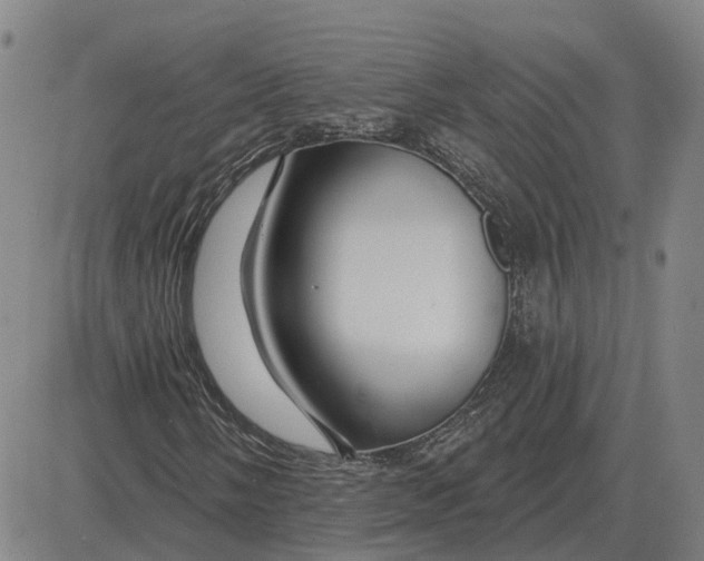 X0000083021058200702231832