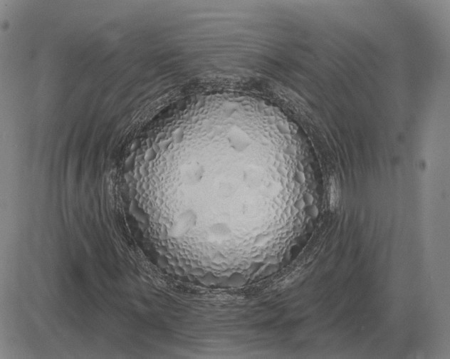 X0000083021059200702231832