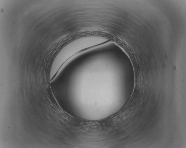 X0000083021062200702231832