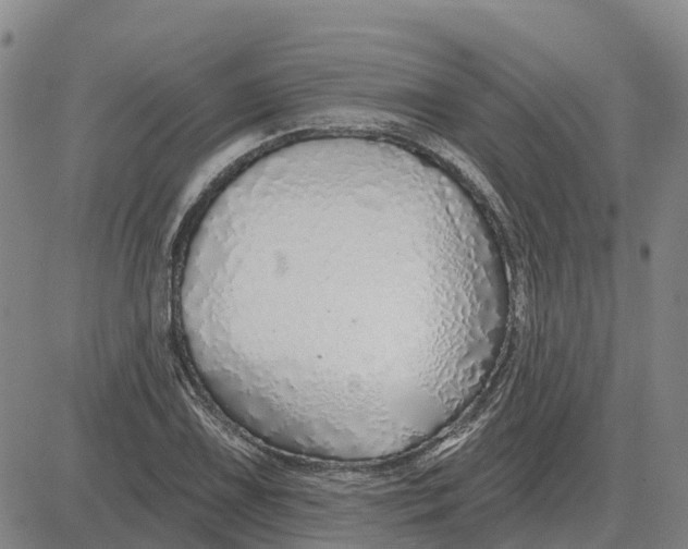 X0000083021075200702231832