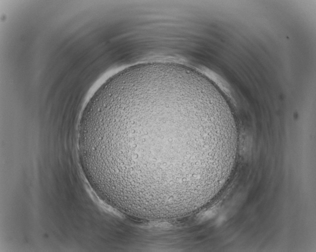 X0000083021094200702231831