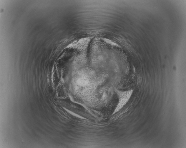 X0000083021106200702231831