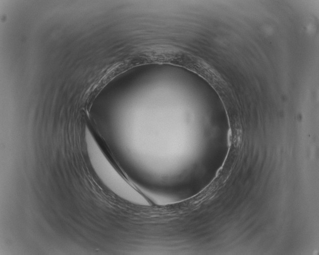 X0000083021108200702231831