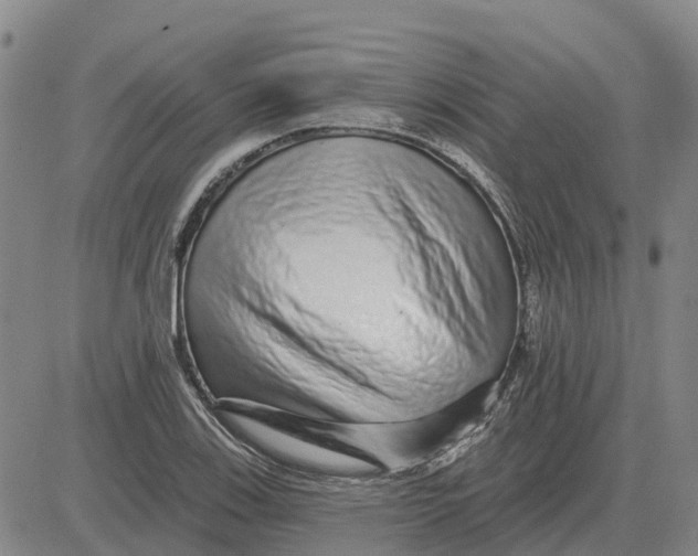 X0000083021123200702231831