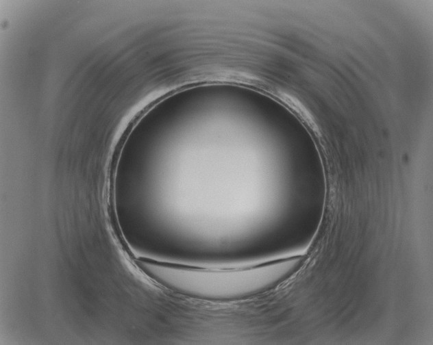 X0000083021136200702231831