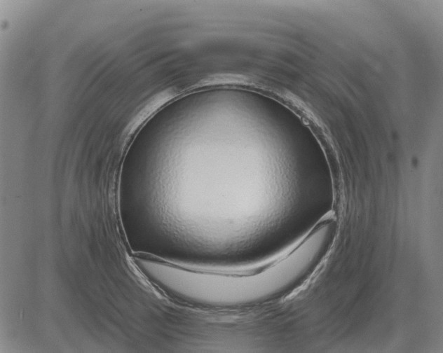 X0000083021137200702231831