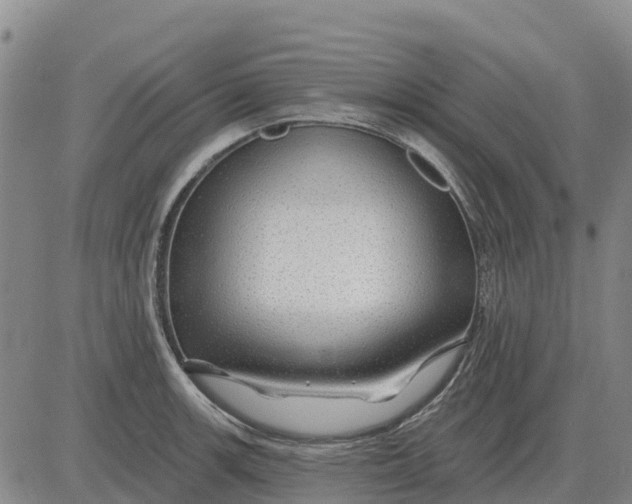 X0000083021139200702231831