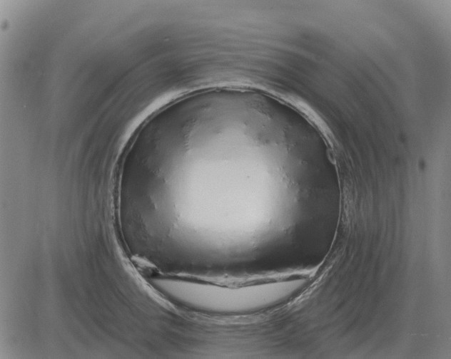 X0000083021142200702231831