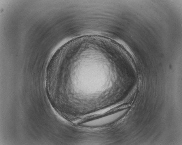X0000083021143200702231831