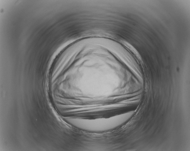 X0000083021144200702231831