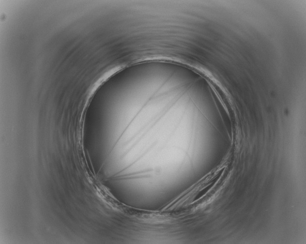 X0000083021145200702231831