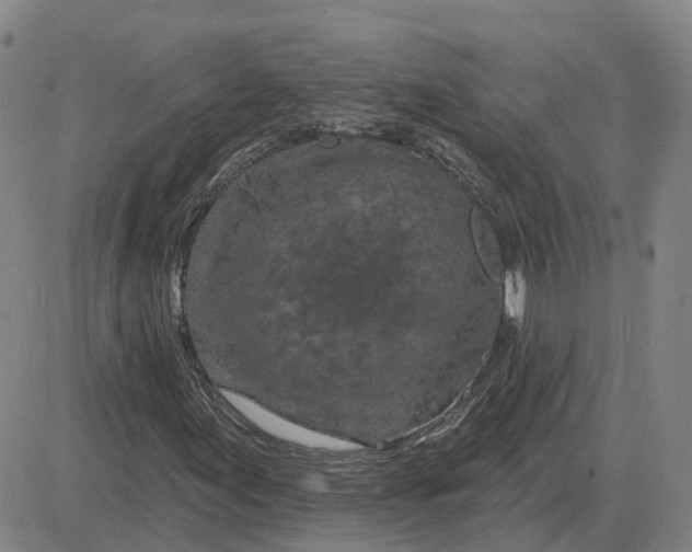 X0000083021155200702231830