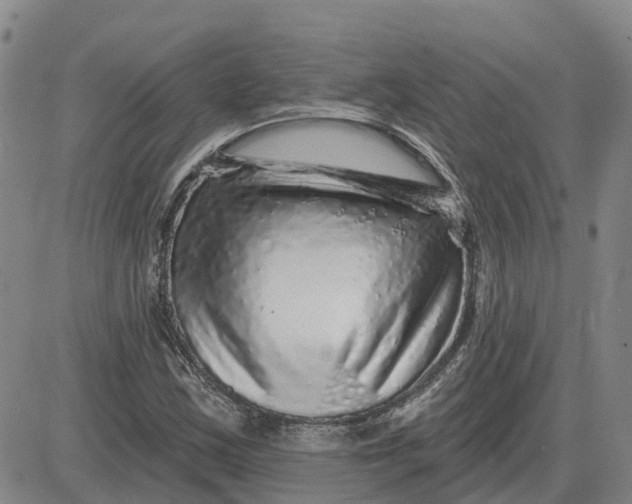 X0000083021163200702231830