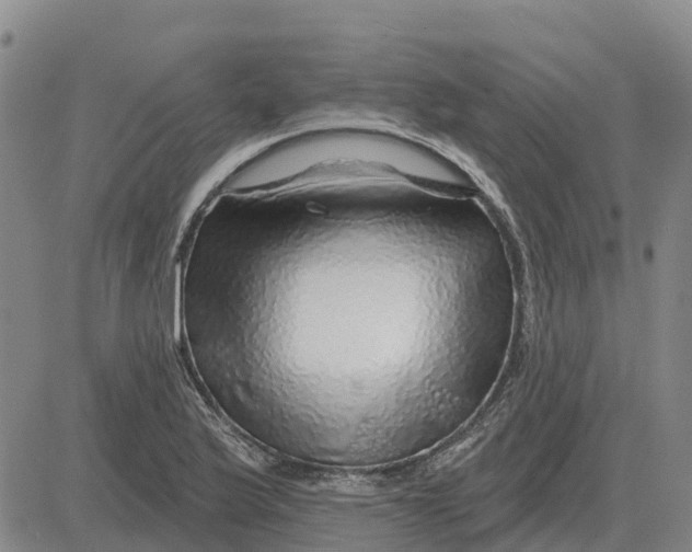 X0000083021175200702231830
