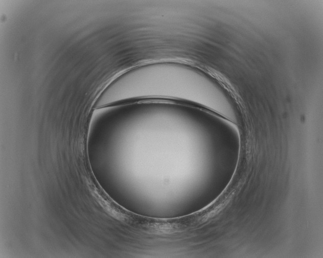 X0000083021177200702231830