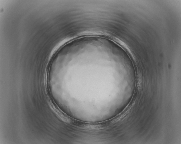 X0000083021179200702231830
